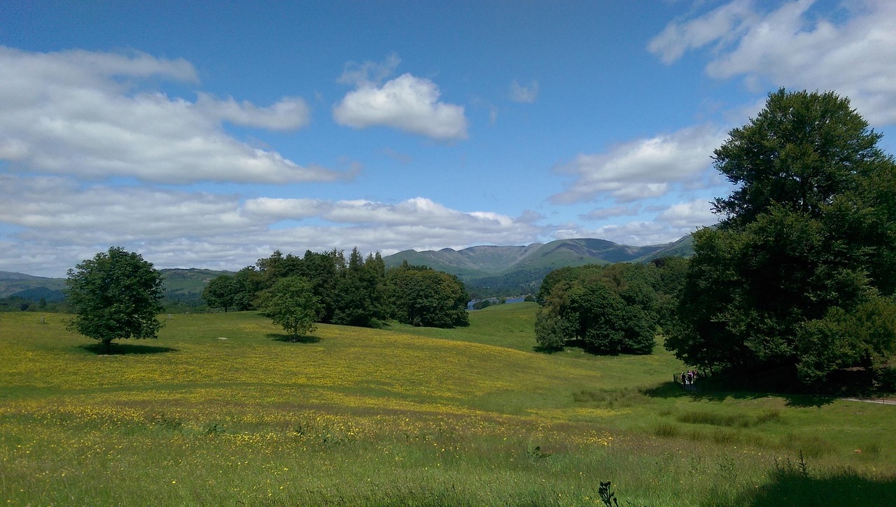 Free Landscape Blue Sky photo and picture