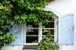 window, facade, plant