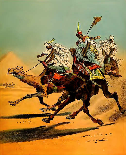 Free camels racing nature illustration