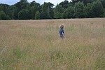 boy, child, happy