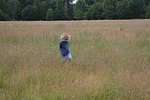 boy, child, happy