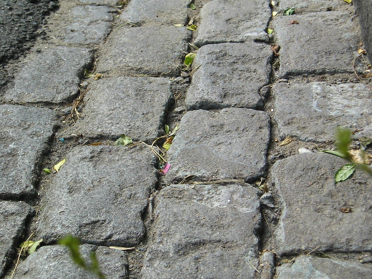 Street Cobble Texture - Free photo on Pixabay - Pixabay