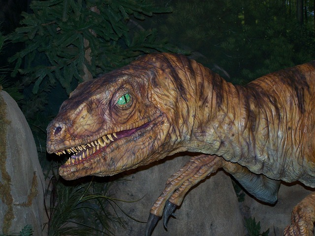 Free Velociraptor Dinosaur photo and picture