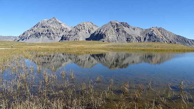 Free Bellety Reflection photo and picture