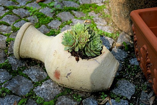 Free Amphora Rock Garden photo and picture