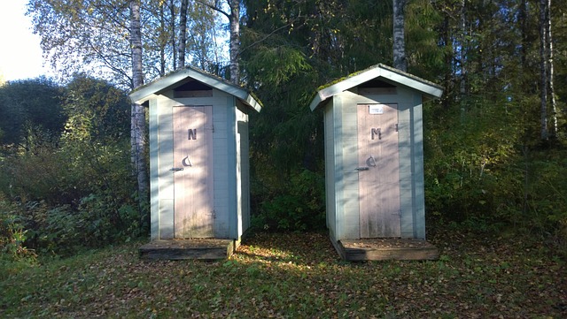 Free Loo Toilet photo and picture