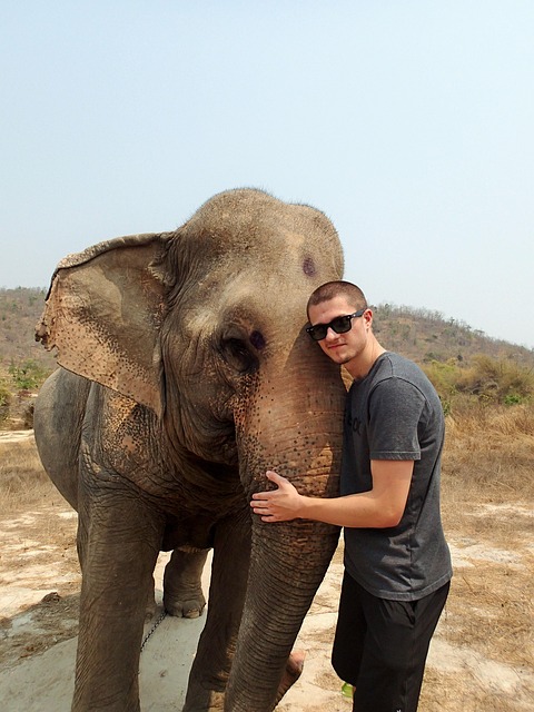 Free Elephant Boy photo and picture