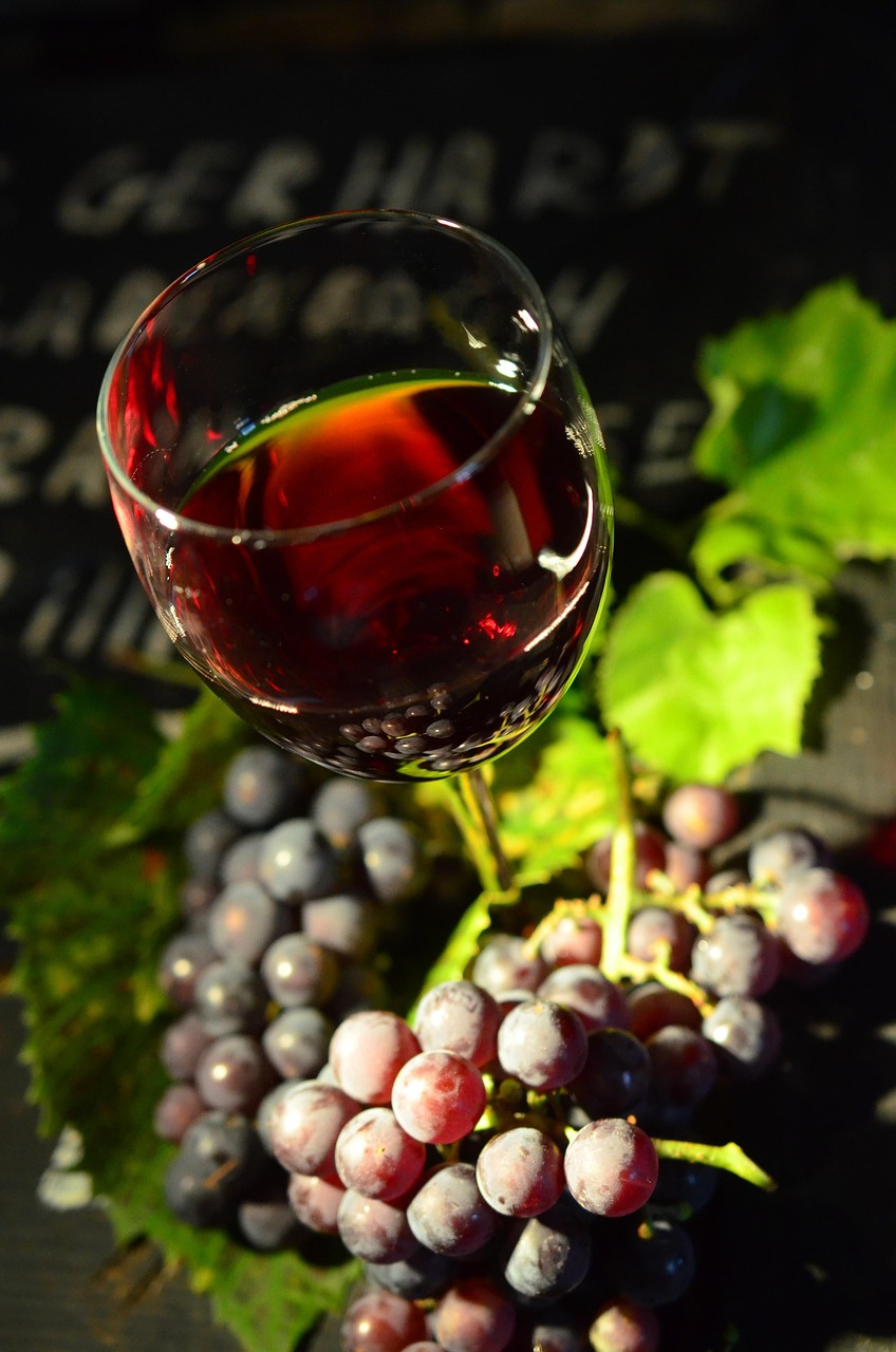 Wine Glass Grapes Red - Free photo on Pixabay
