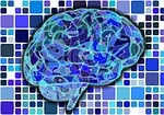 brain, biology, abstract