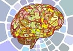 brain, biology, abstract