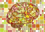 brain, biology, abstract
