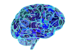 brain, biology, abstract