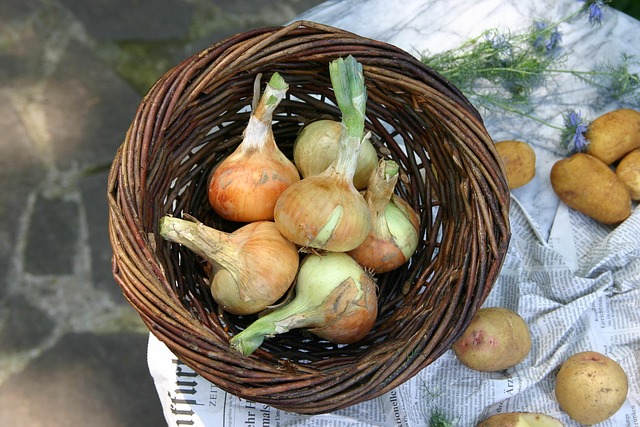 Ui, Groenten, Eten, Koken, Gezond, Markt