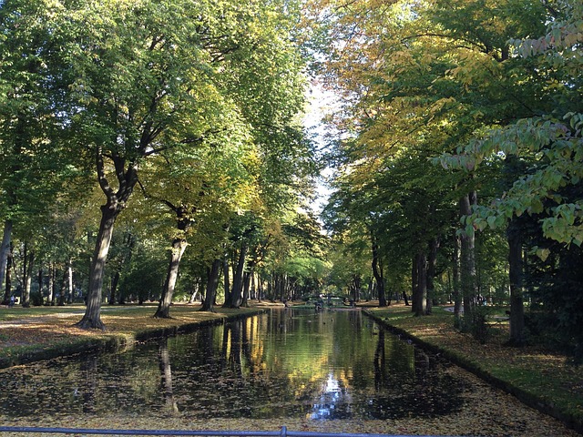 Free Bayreuth Courtyard Garden photo and picture