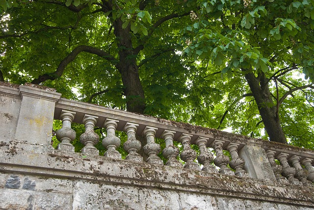 Free Trees Wall photo and picture