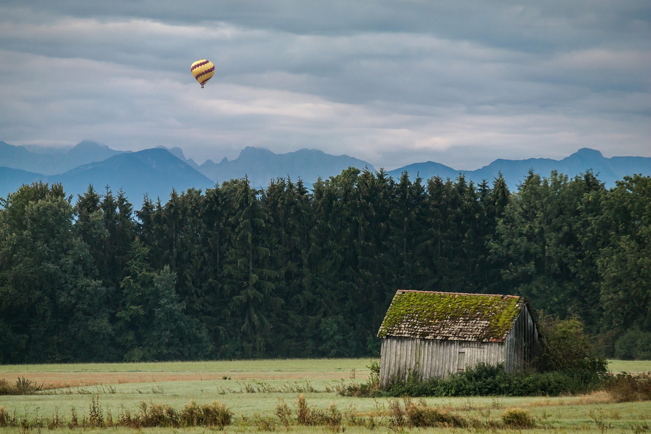 Balloon - free online jigsaw puzzle photo