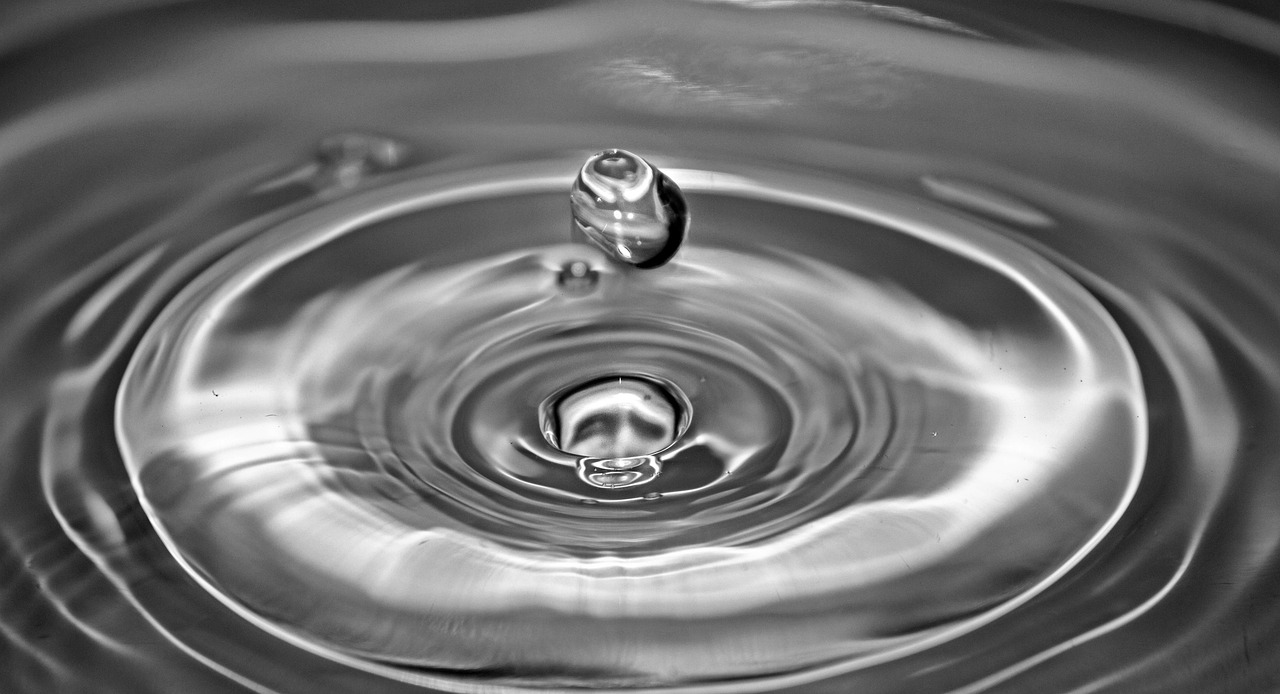 Black And White Macro Photography Water