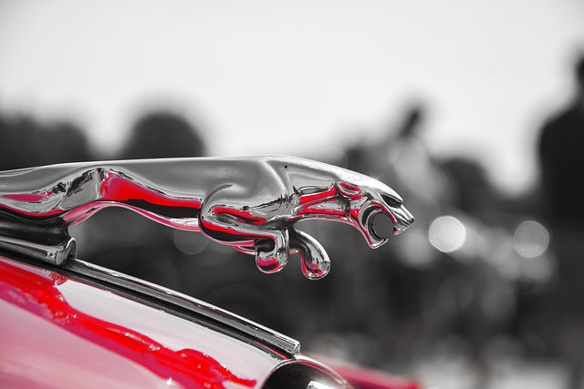 Free Jaguar Hood photo and picture