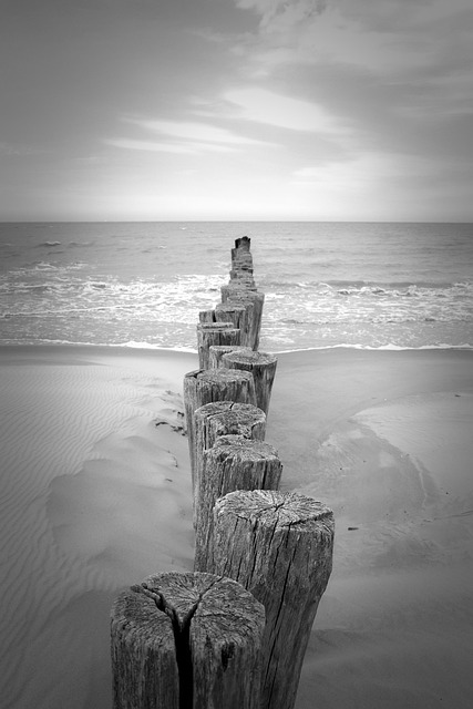 Free Beach Sea photo and picture
