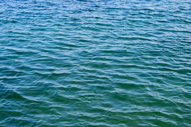 Free Sea Blue photo and picture