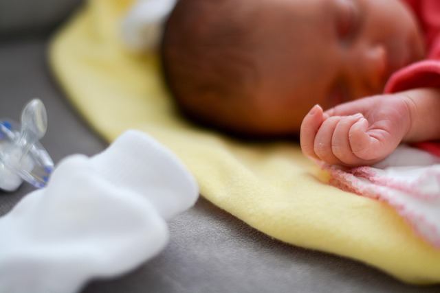 Free Tiny Hands photo and picture