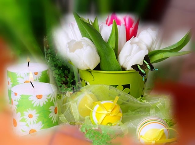 Free pink tulips white tulips tulip illustration