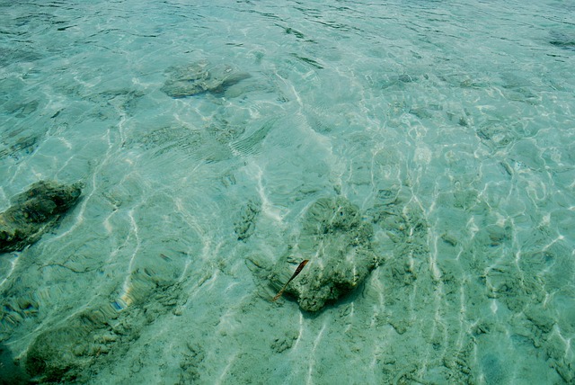 Free Clear Water photo and picture