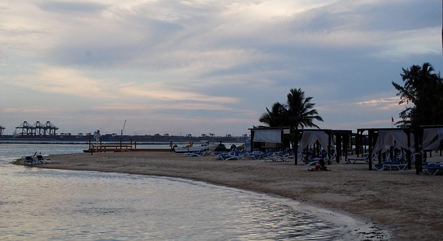 Free Beach Water photo and picture