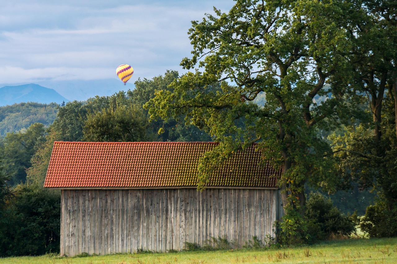 Balloon - free online jigsaw puzzle photo