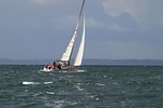 sailing vessel, sail, ship