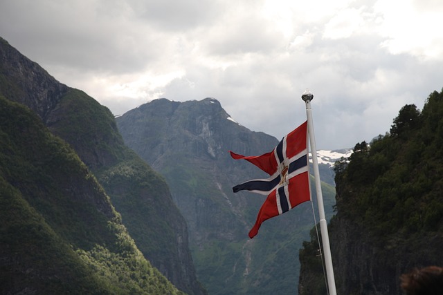 Free Norway National Flag photo and picture
