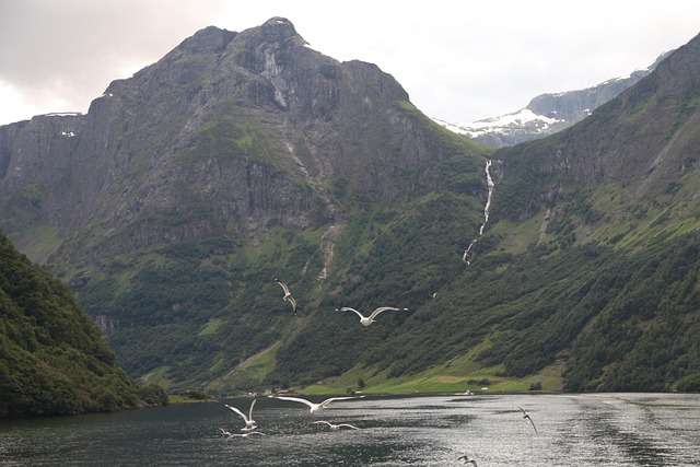 Free Norway Fjord photo and picture