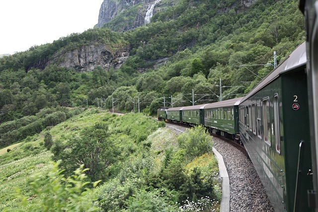 Free Norway Train photo and picture