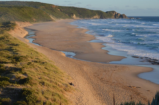 Free Low Tide Beach photo and picture