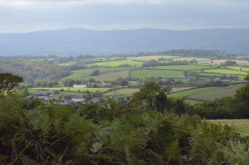 landscape-955399_960_720.jpg