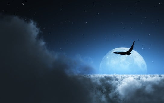 Free Darling Night illustration and picture