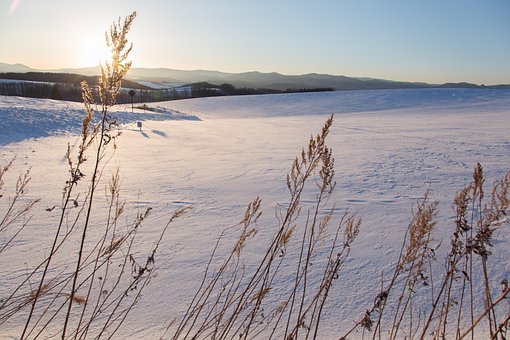 Natureza, Inverno, Ao Ar Livre
