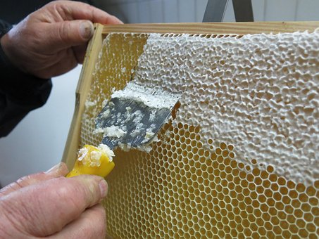 Honning, Honeycomb, Å Avdekke, Ramme