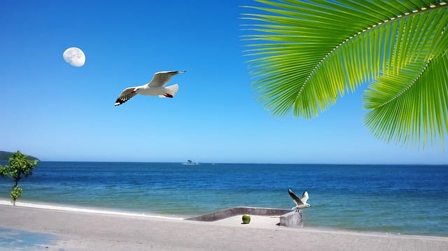 Free coast serra orla illustration