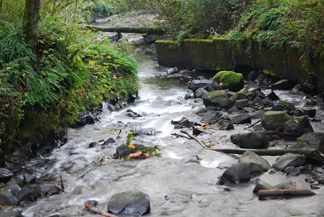 Free River Rocks photo and picture
