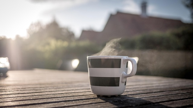 Koffie, Ochtend, Zacht Licht, Natuur