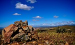 acton, california, nature