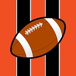 cincinnati, ohio, bengals