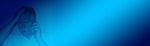 banner, header, human