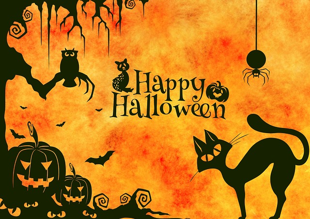 Halloween Kissa Pelottava Ilmainen Kuva Pixabayssa Pixabay