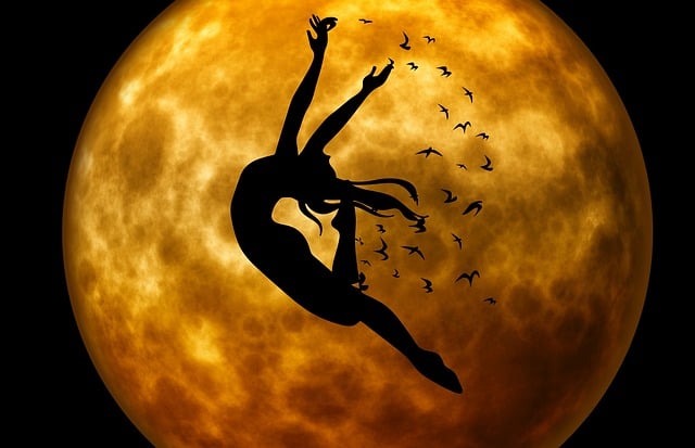 Free eve moon night illustration