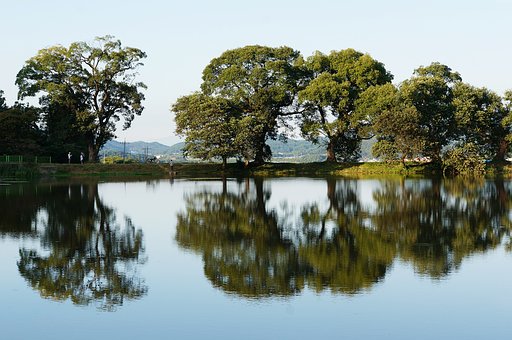 Free Reservoir Pond photo and picture