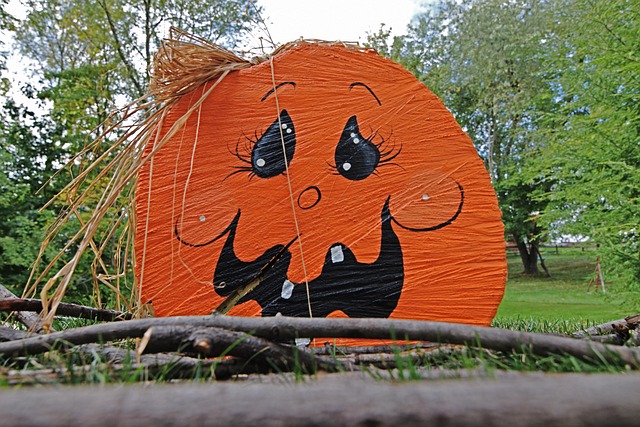 Free Halloween Pumpkin photo and picture