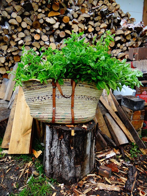 Free Herbs Vegetable Garden photo and picture