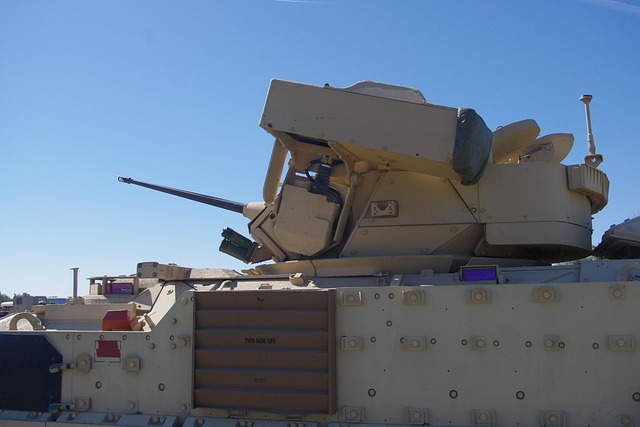 Free Tank Army photo and picture